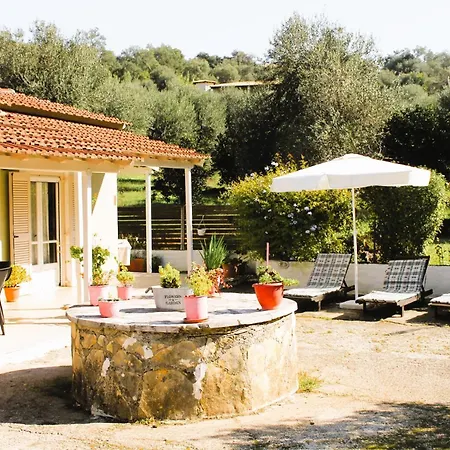 Amalia Apartment Peritheia
